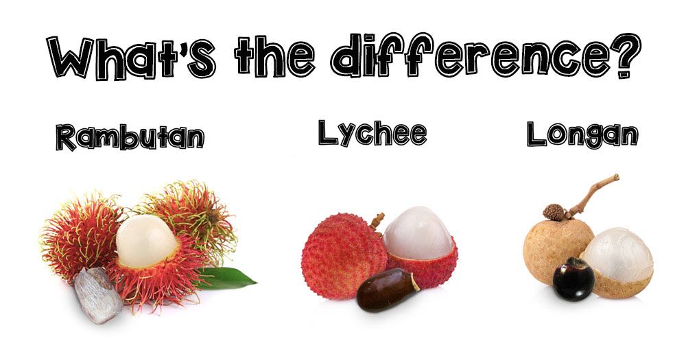 Differences between rambutan, lychee, longan