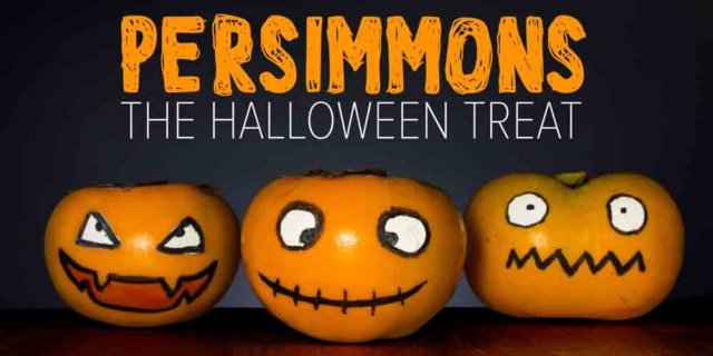 Halloween persimmons - a halloween treat