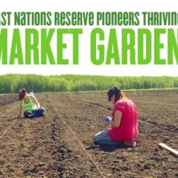 First nations reserve market garden planting