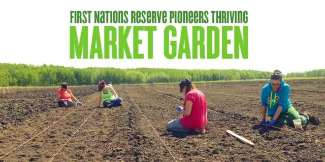First nations reserve market garden planting