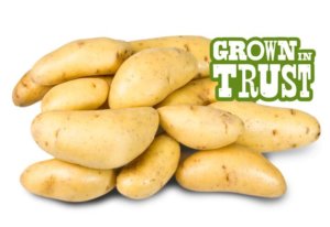 Fingerling potatoes - Grown in Trust by Thomas Fresh