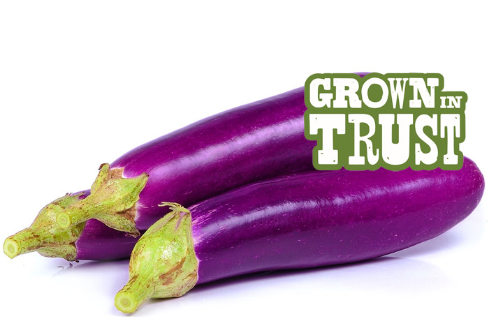 Chinese Eggplant - Grown in Trust