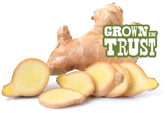 Ginger - Grown in Trust