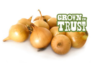 Gold Pearl Onions - Grown in Trust