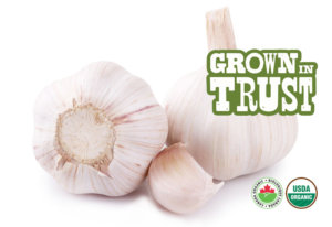 Organic Garlic - Grown in Trust