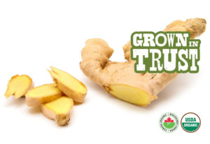 Organic Ginger - Grown in Trust