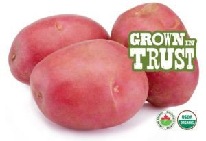 Organic Red Potatoes - Thomas Fresh