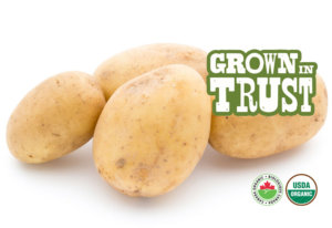 Organic White Potatoes - Thomas Fresh