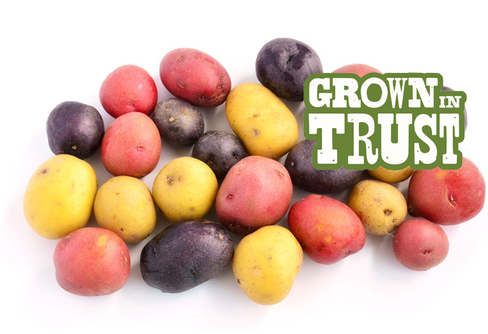 Rainbow Potatoes - Grown in Trust