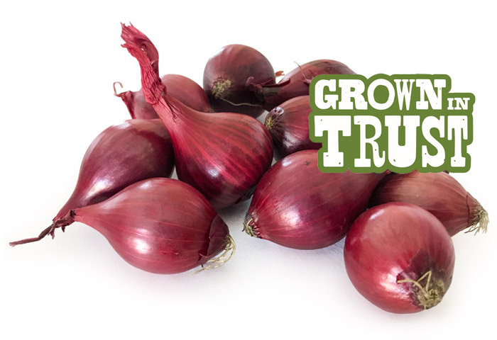Red Pearl Onions - Grown in Trust