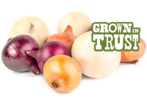 Tri-coloured Onions - Grown in Trust