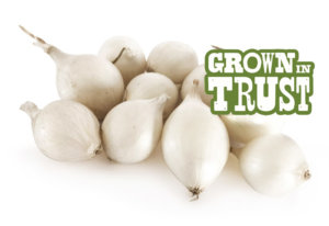 White Pearl Onions - Grown in Trust
